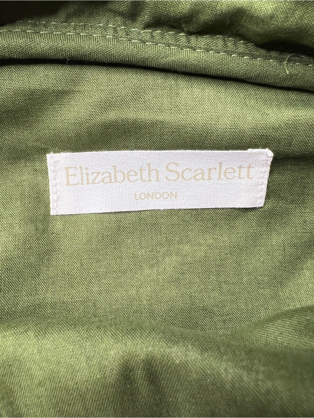 Elizabeth Scarlett London Velvet Tiger Cosmetic Bag – Green Velvet Pouch - Picture 2 of 12
